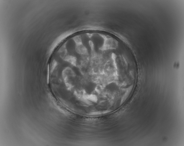 X0000113141223200910021432