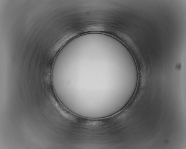 X0000113141225200910021432