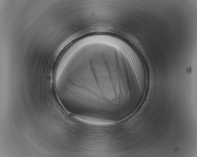X0000113141226200910021432