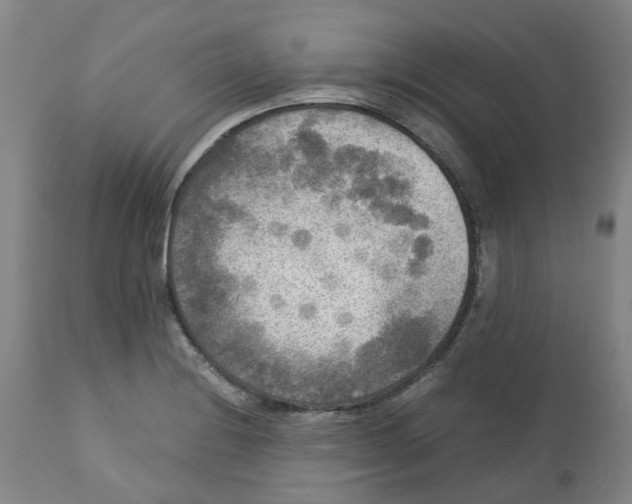 X0000113141228200910021432