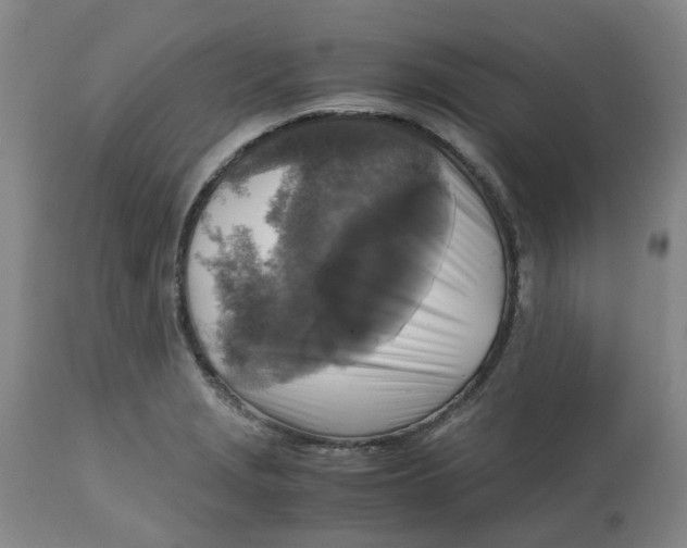 X0000113141229200910021432