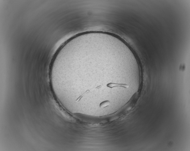 X0000113141230200910021433