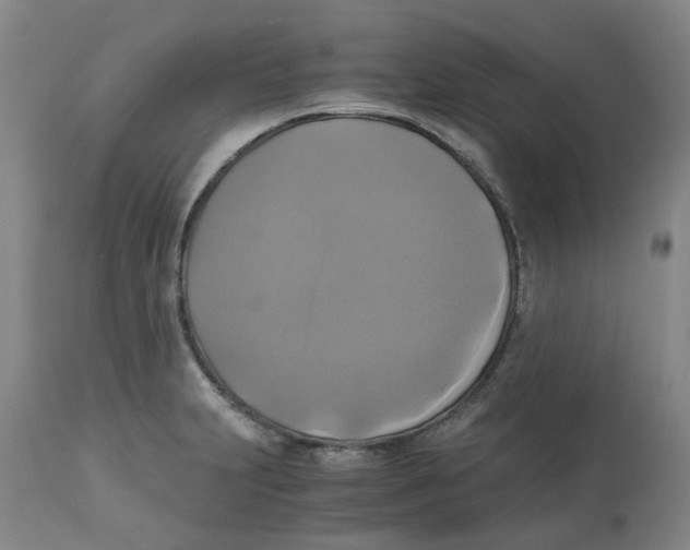 X0000113141231200910021433
