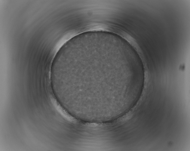 X0000113141234200910021433