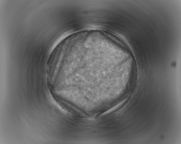 X0000113141235200910021433