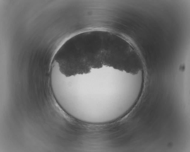 X0000113141236200910021433