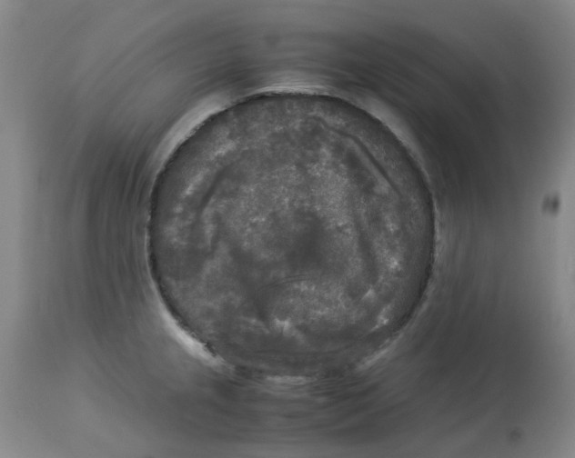 X0000113141237200910021433