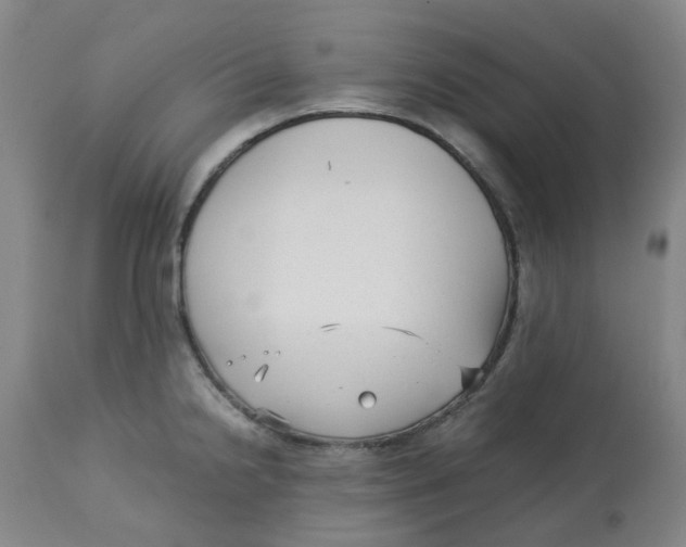 X0000113141238200910021433