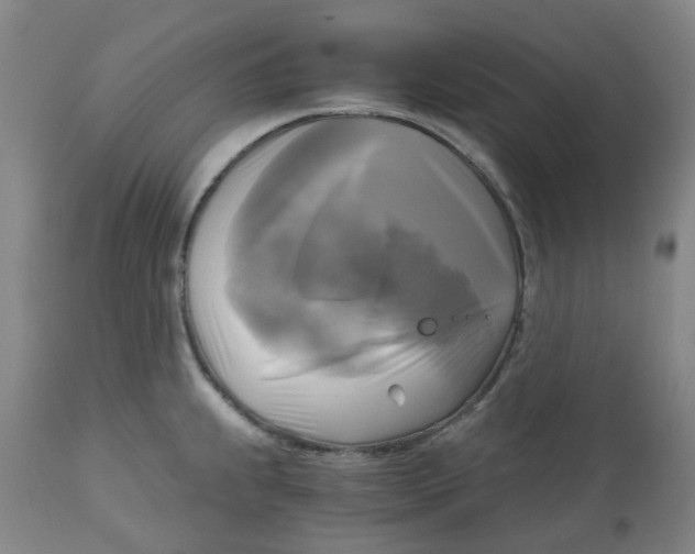 X0000113141239200910021433