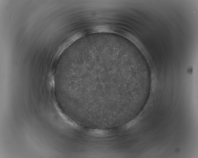 X0000113141241200910021433