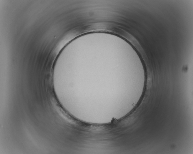 X0000113141242200910021433