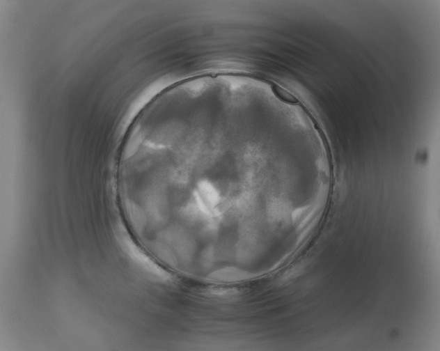 X0000113141243200910021433
