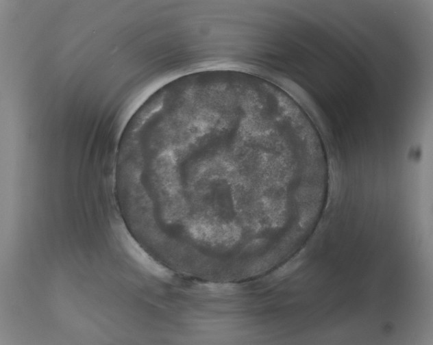 X0000113141244200910021433