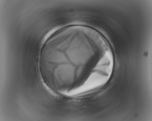 X0000113141245200910021433