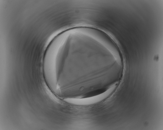 X0000113141246200910021433