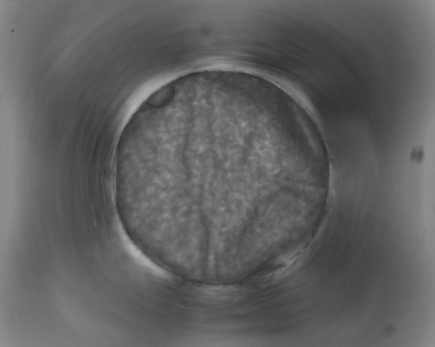 X0000113141247200910021433