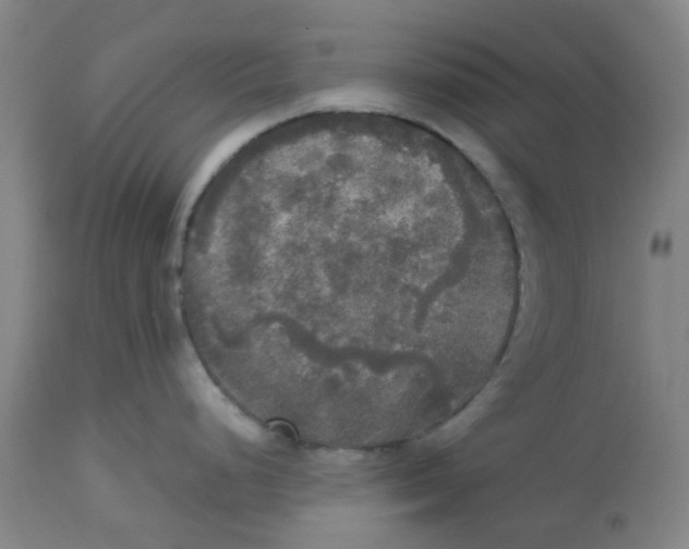 X0000113141248200910021433