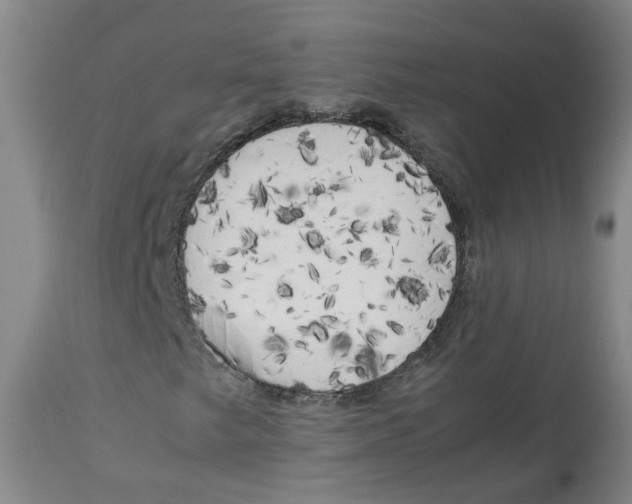 X0000113141249200910021432