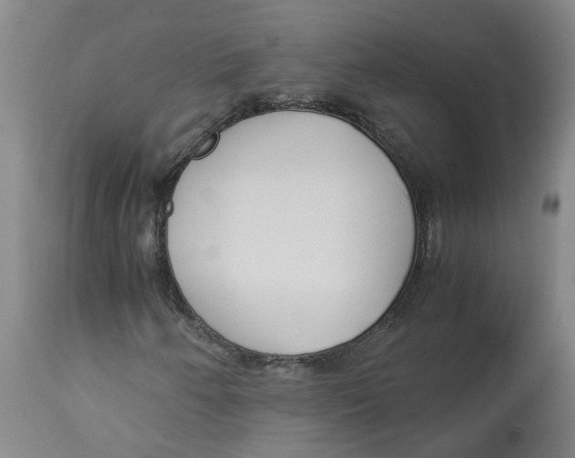 X0000113141250200910021432