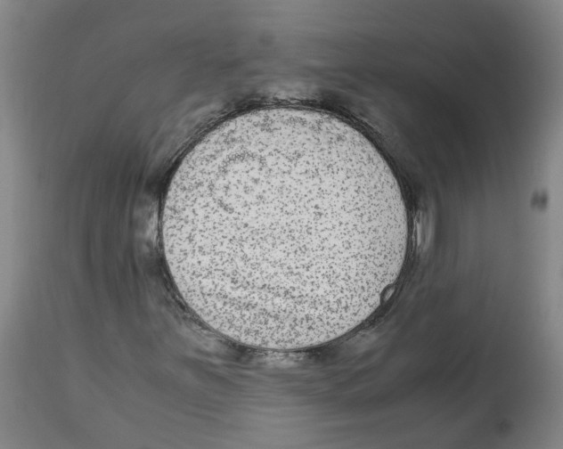 X0000113141251200910021432