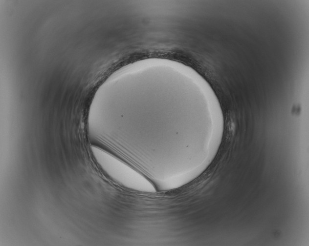 X0000113141252200910021432