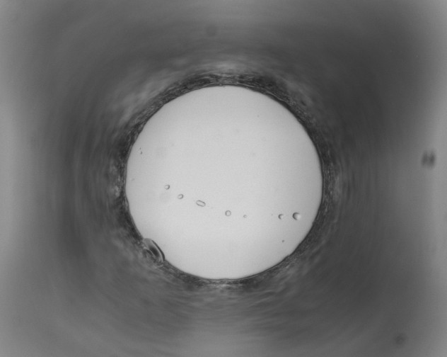 X0000113141253200910021432