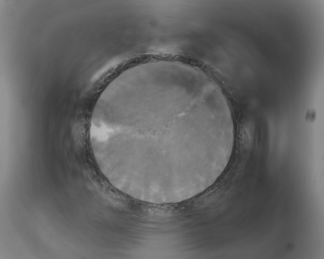 X0000113141254200910021432