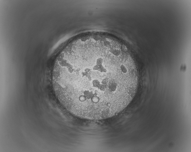 X0000113141255200910021432