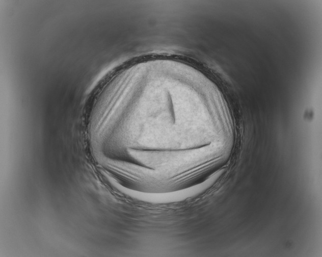X0000113141256200910021432