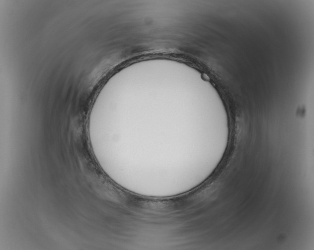 X0000113141257200910021432