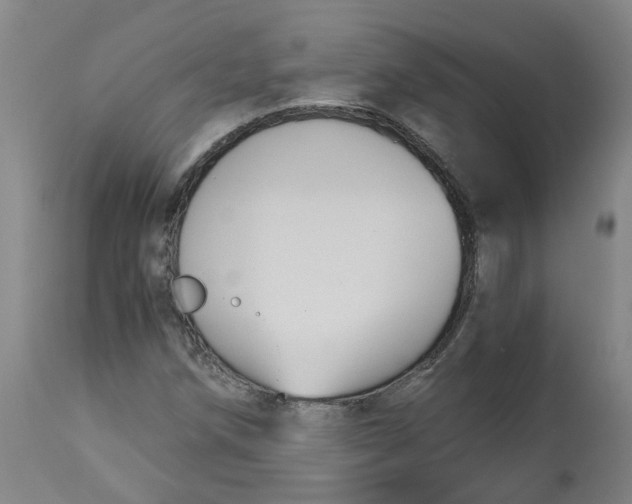 X0000113141258200910021432