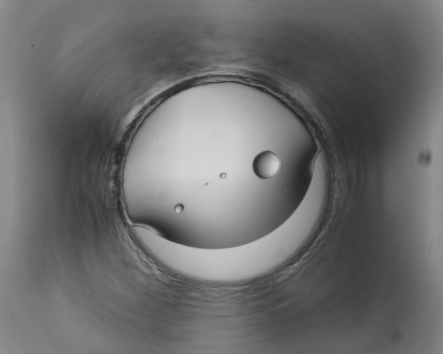 X0000113141260200910021432