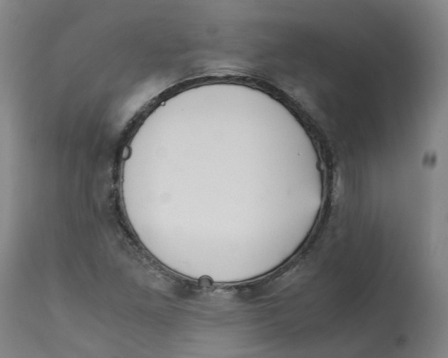 X0000113141261200910021432