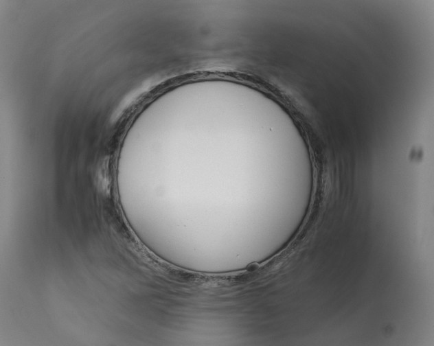 X0000113141262200910021432