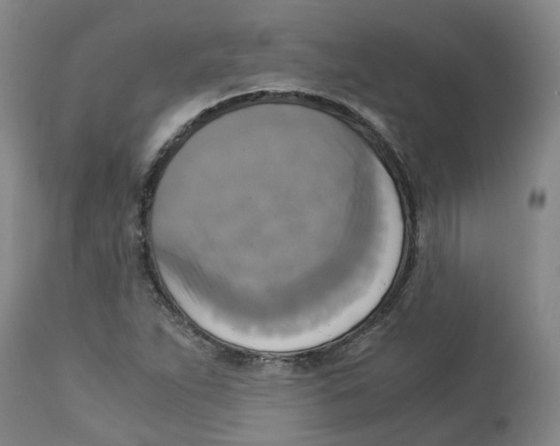 X0000113141263200910021432