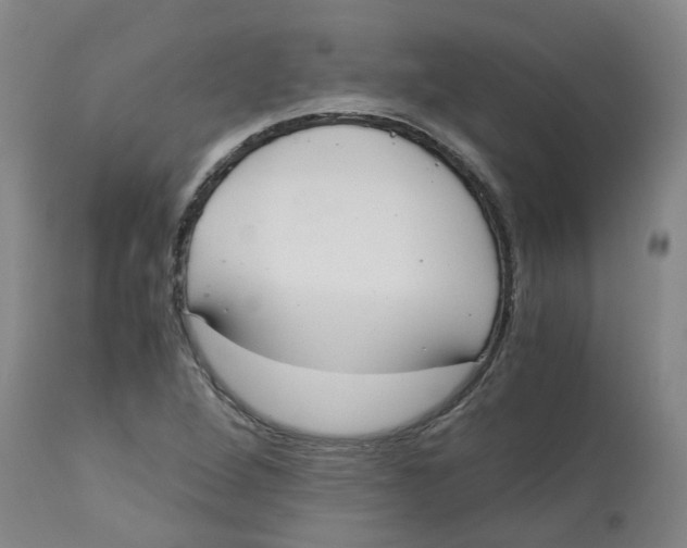 X0000113141264200910021432