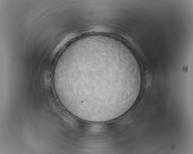 X0000113141266200910021432