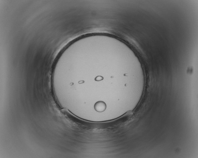 X0000113141268200910021431