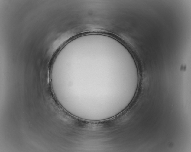 X0000113141269200910021431