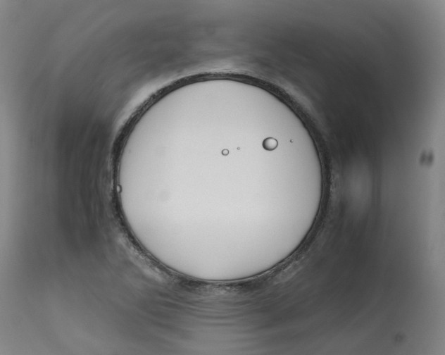 X0000113141270200910021431