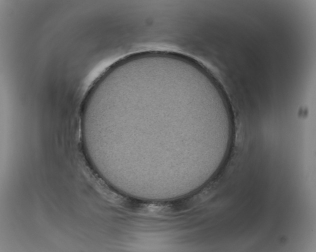 X0000113141271200910021431