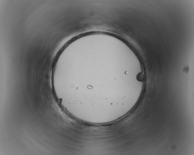 X0000113141272200910021431