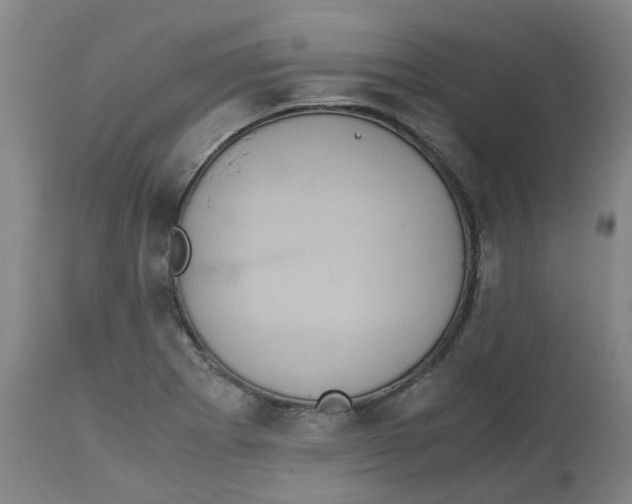 X0000113141273200910021431