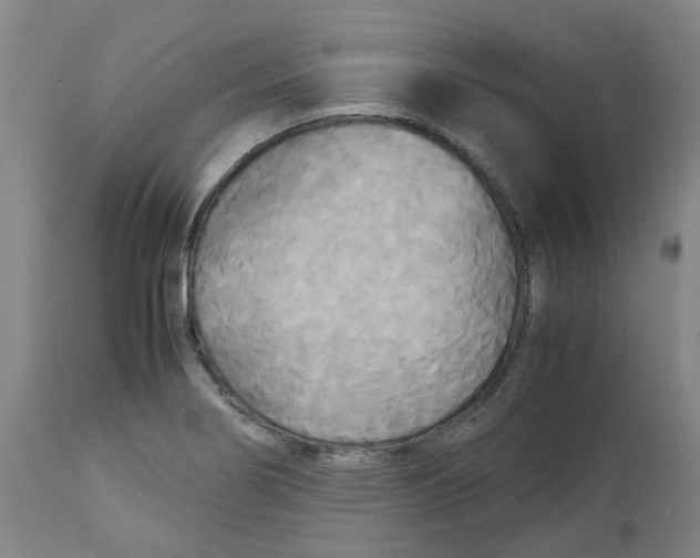 X0000113141274200910021431