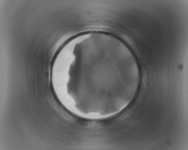 X0000113141275200910021431