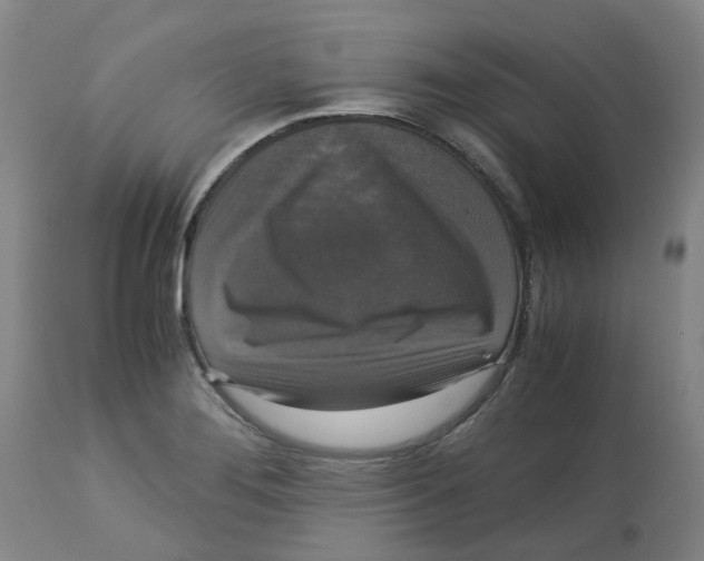 X0000113141276200910021431