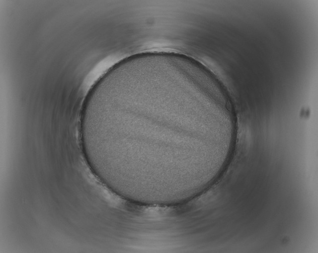 X0000113141277200910021431