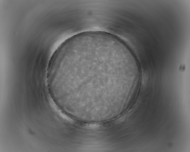 X0000113141278200910021431