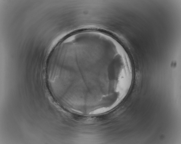 X0000113141279200910021431