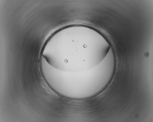 X0000113141280200910021431